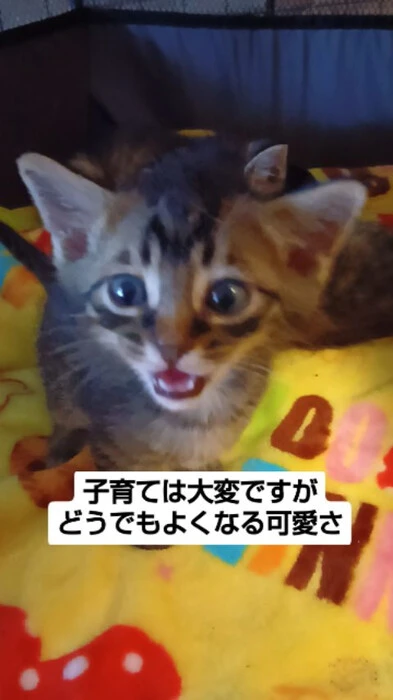 画像1057