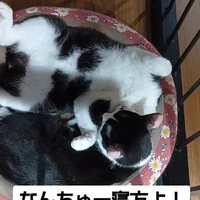 画像1059
