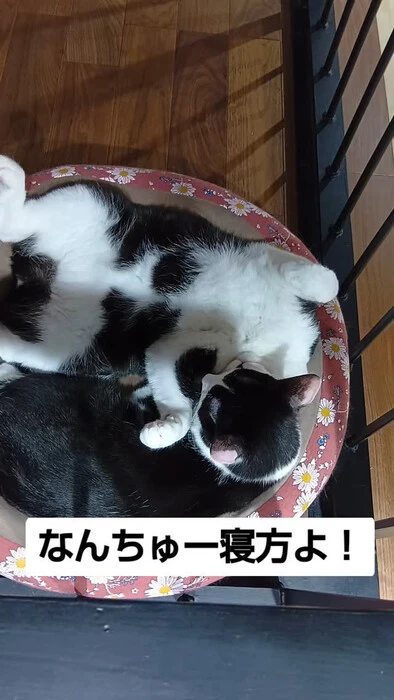画像1059