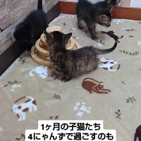画像1061