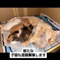 画像1063