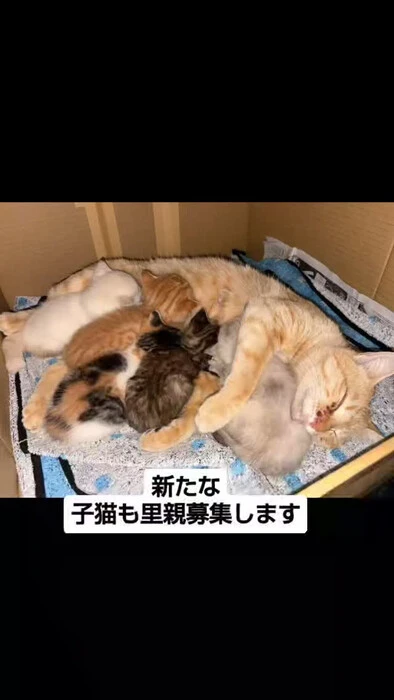 画像1063