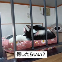 画像1065