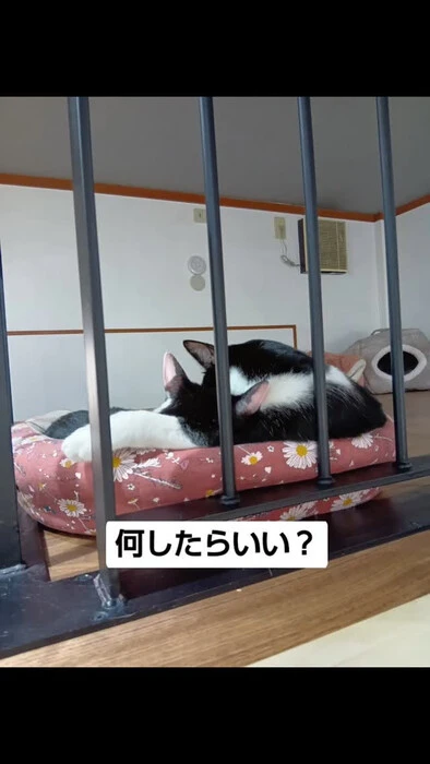 画像1065