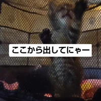 画像1069