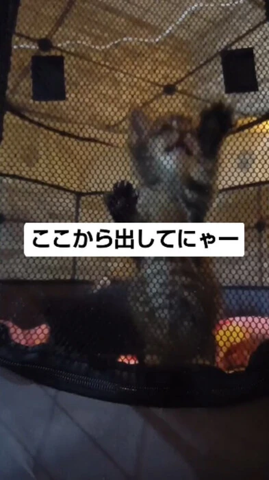 画像1069