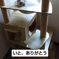画像1071
