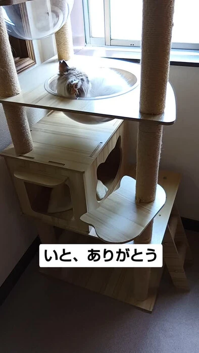 画像1071
