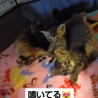 画像1073