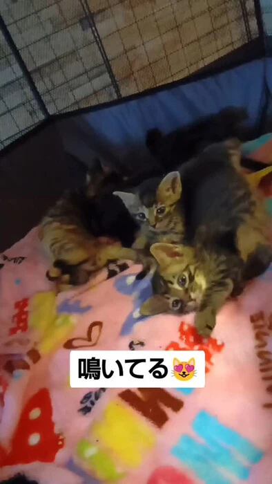 画像1073