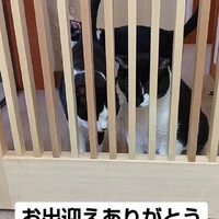 画像1075