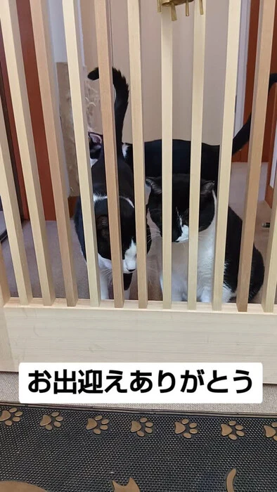 画像1075