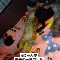 画像1077