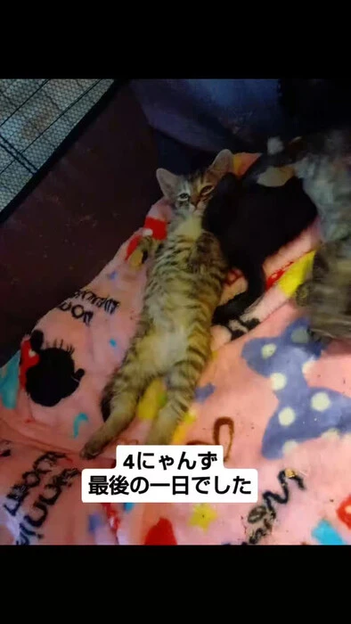 画像1077