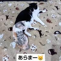 画像1079