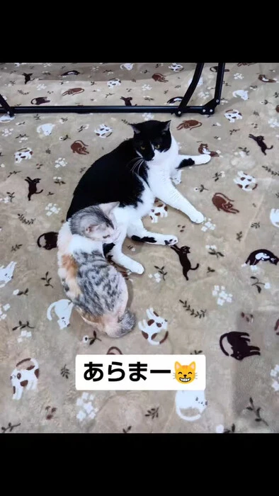 画像1079