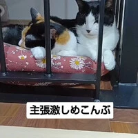 画像1083