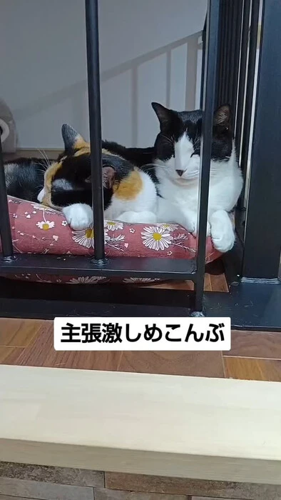 画像1083