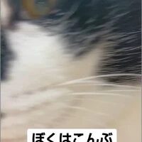 画像1085