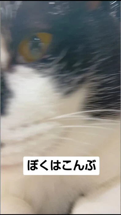 画像1085