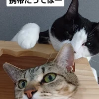 画像1087