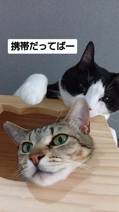 画像1087