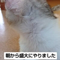 画像1089