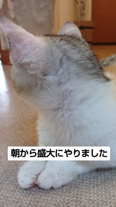画像1089