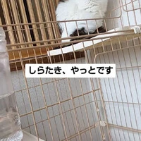 画像1091