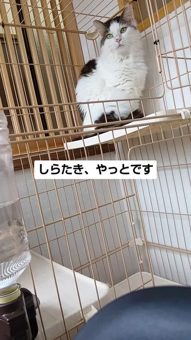 画像1091