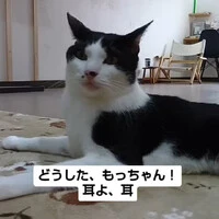 画像1095