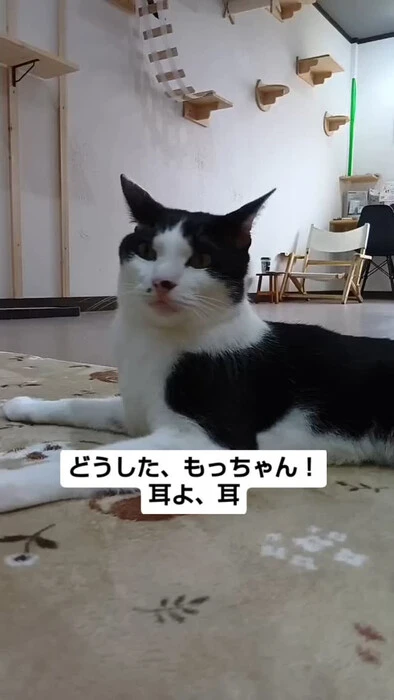 画像1095