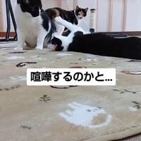 画像1097