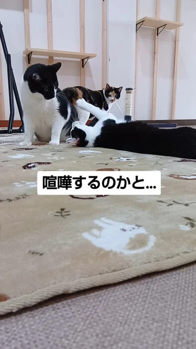 画像1097