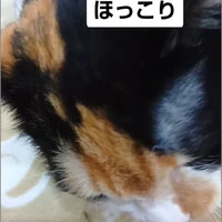 画像1099