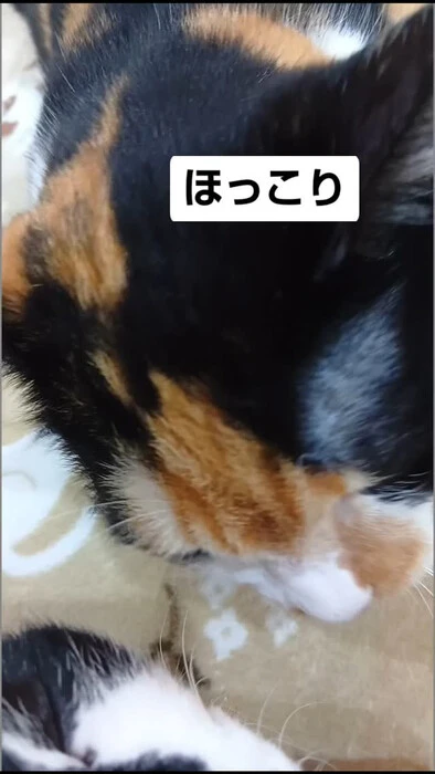 画像1099