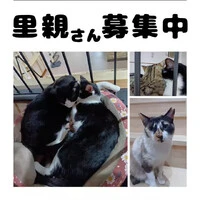 画像1101