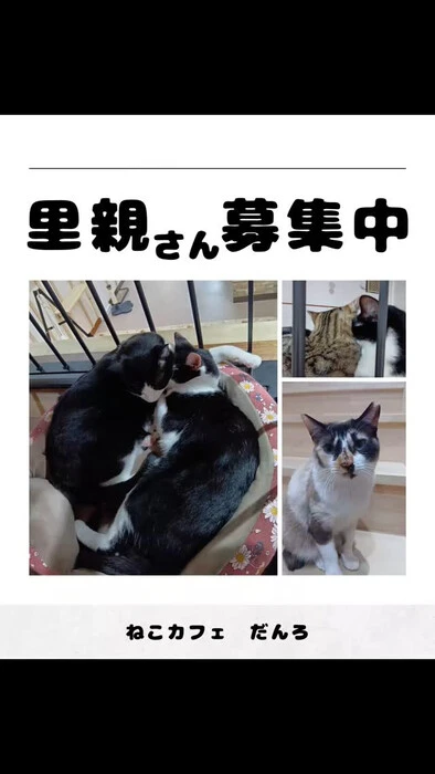 画像1101