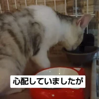 画像1103