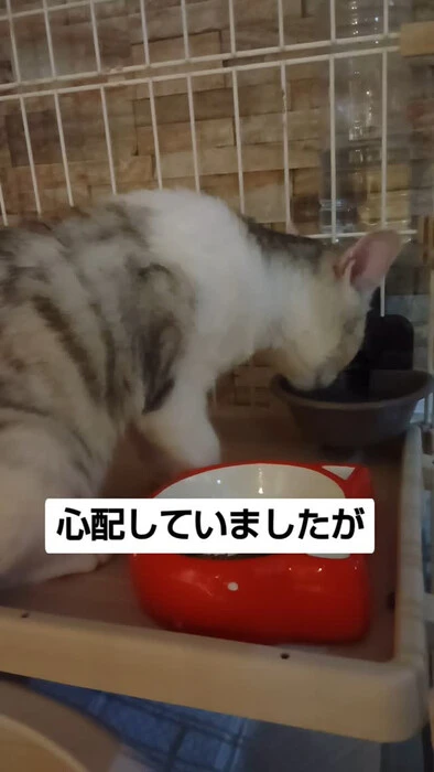 画像1103