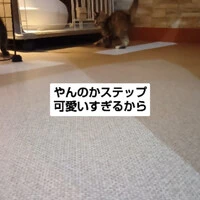 画像1105