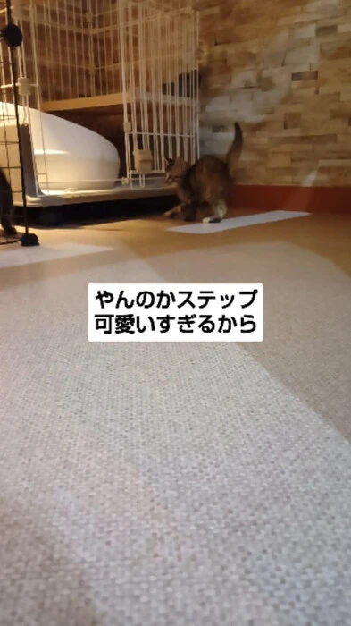 画像1105