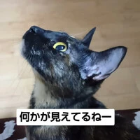 画像1107