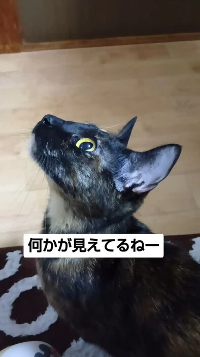 画像1107