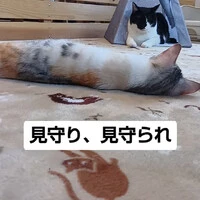 画像1109