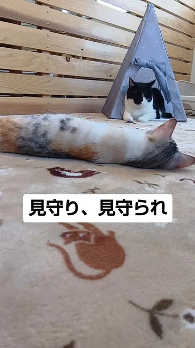 画像1109