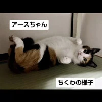 画像1111