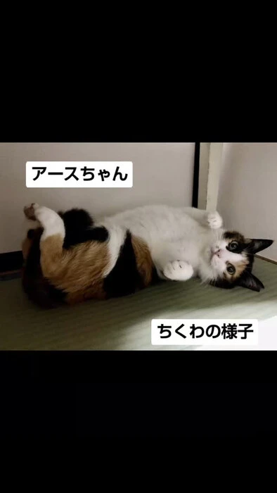 画像1111