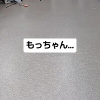 画像1113