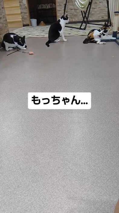 画像1113